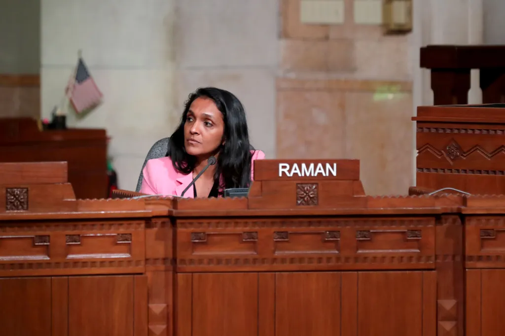 Nithya Raman at a Homelessness & Housing Committee meeting.