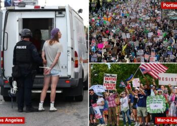 ‘No Kings’ protests turn violent in Portland, LA and Dallas — as rally near Mar-a-Lago takes bizarre turn