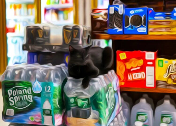 New York’s Beloved Bodegas Are Filling Up With AI Slop