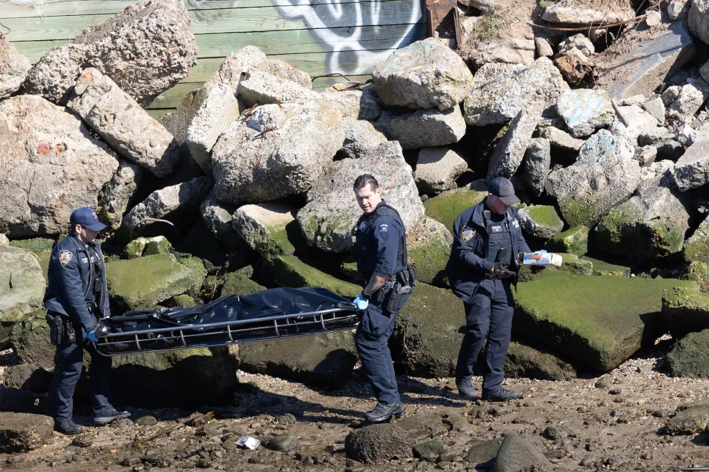 Police officers carrying a body on a stretcher from Coney Island Creek.