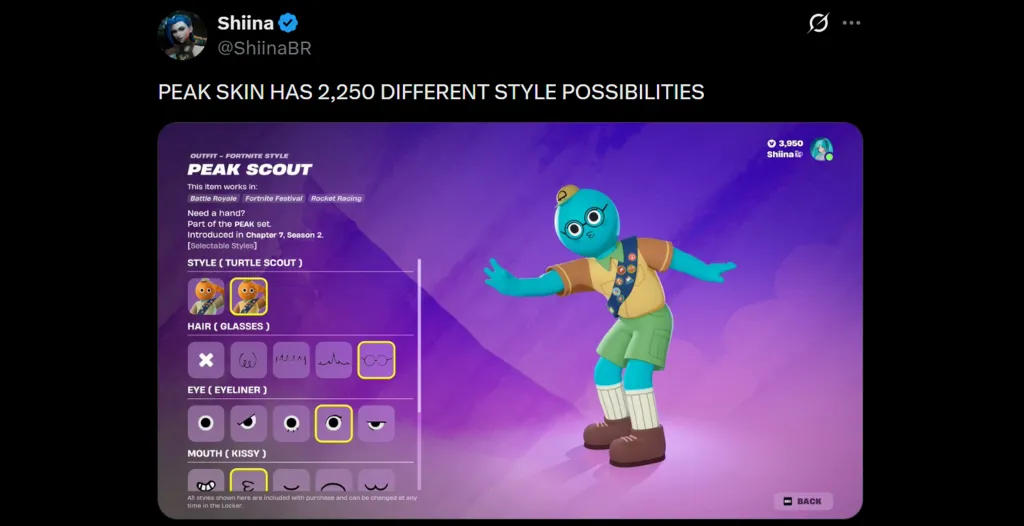 Peak Fortnite Skin Styles