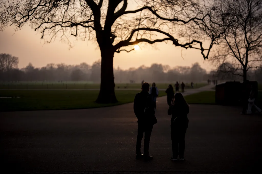 Silhouettes of people in Hyde Park at sunset, with a large tree and bright sun in the background.