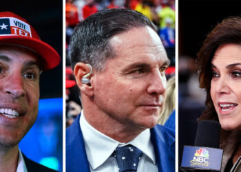 An N.F.L. Kicker, a Yankee and a Sports Reporter Walk Into the Midterms