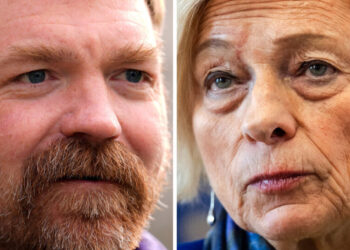 Who’s ‘Safer’ or ‘Riskier’? Maine Democrats Clash Over How to Beat Collins.