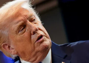 Trump ally used ICE to deport mother of his child during custody battle: NY Times