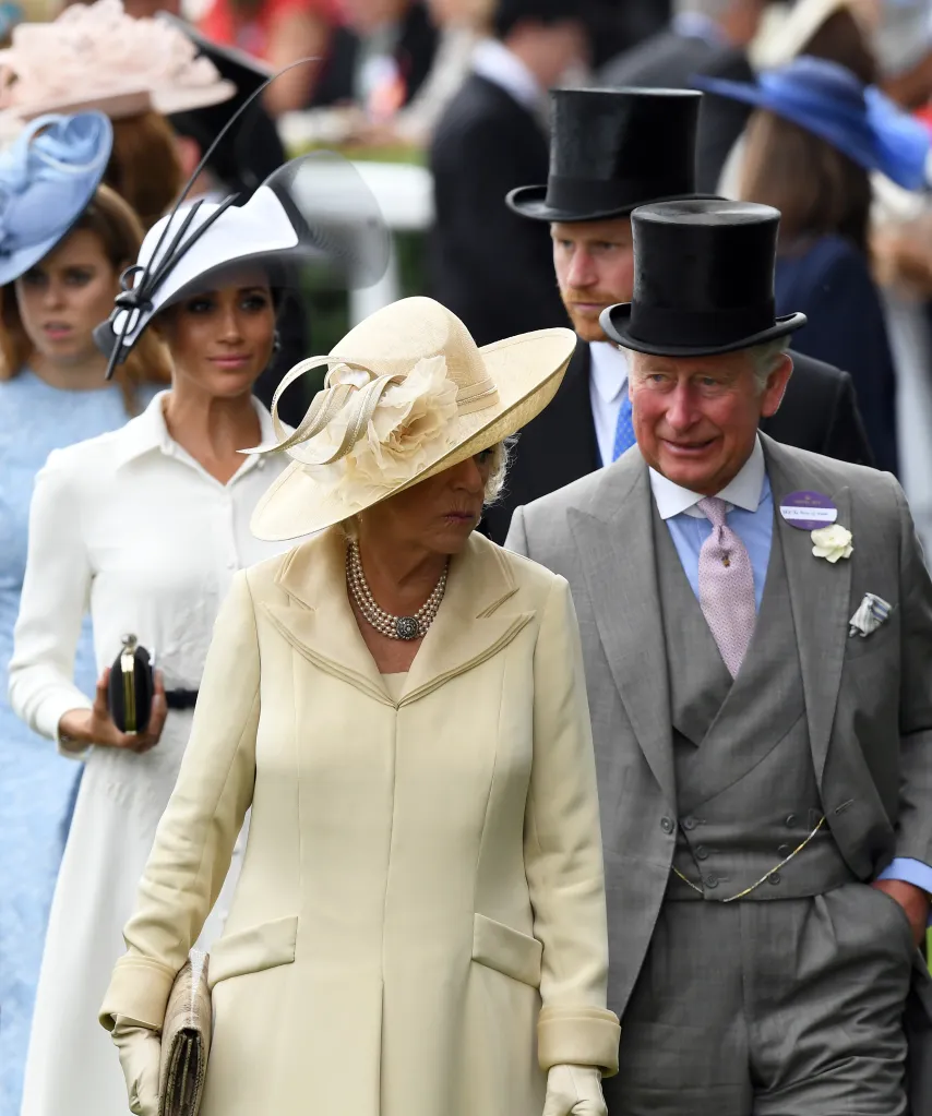 Duchess Camilla, Meghan, Duchess of Sussex, Princess Beatrice, Prince Charles, and Prince Harry at Royal Ascot.
