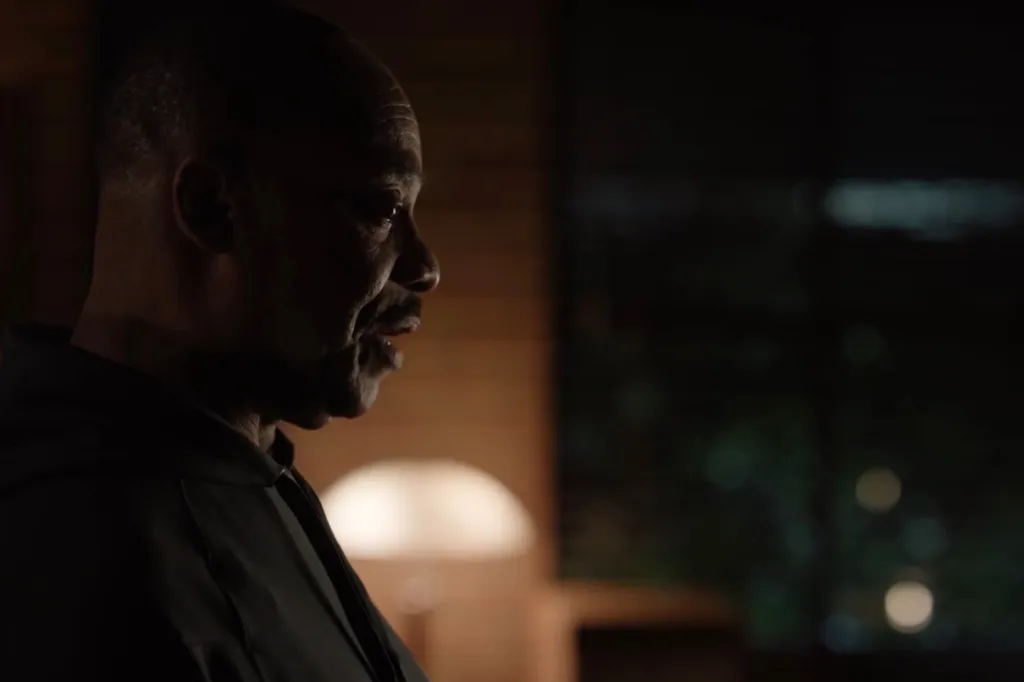 Rocky Carroll as Director Vance.