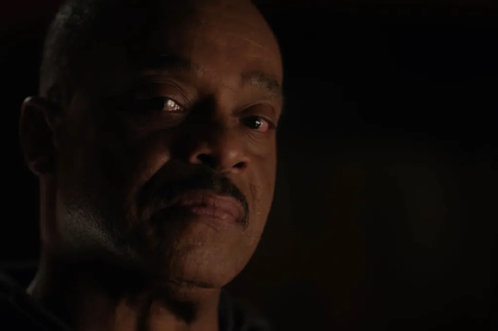 Close-up of Rocky Carroll as Director Vance.