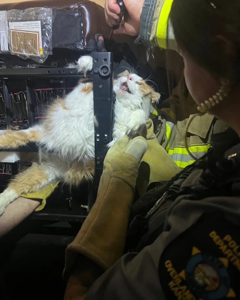 Police and firefighters rescue an orange and white cat stuck in a recliner.