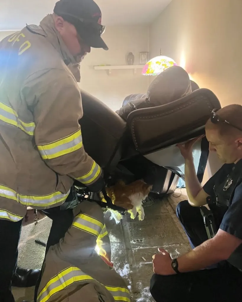 Firefighters rescuing an orange and white cat from under a recliner.