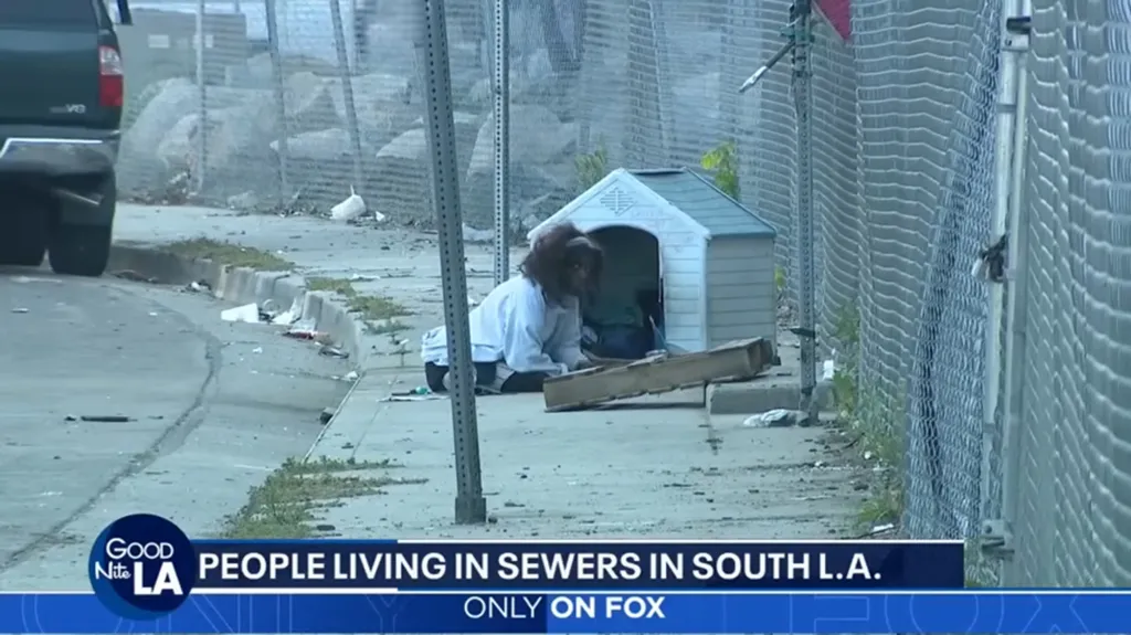 A person sits near a doghouse on a sidewalk next to a chain-link fence, with a news chyron at the bottom of the screen.