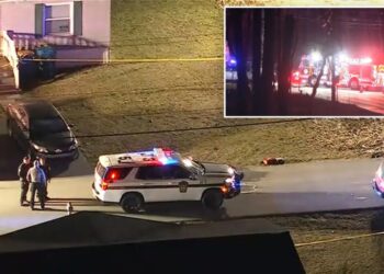 Pennsylvania state trooper fatally shot during traffic stop, officials say