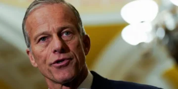 Nicolle Wallace floored by John Thune’s ‘malpractice’: ‘Driving his car into the river!’