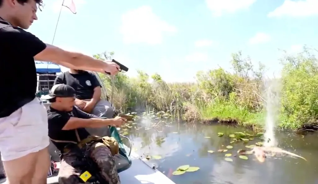 A man on a boat shoots at an alligator in the water, causing a splash.