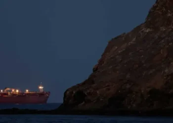 Ex-US official ‘dumbfounded’ Trump didn’t plan for Iran to close vital oil checkpoint