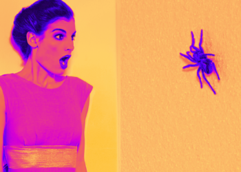 Something Funny Happened When Scientists Tried to Make People Look at Spiders