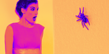 Something Funny Happened When Scientists Tried to Make People Look at Spiders