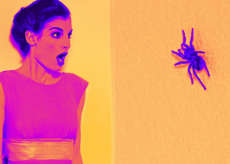 Something Funny Happened When Scientists Tried to Make People Look at Spiders