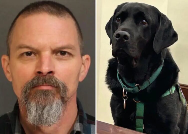Judge declares mistrial for man accused of killing neighbor’s yellow lab after court therapy dog wanders into jury room