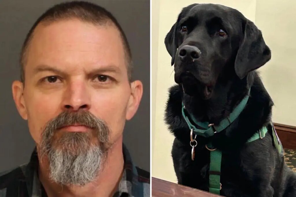 Judge declares mistrial for man accused of killing neighbor’s yellow lab after court therapy dog wanders into jury room