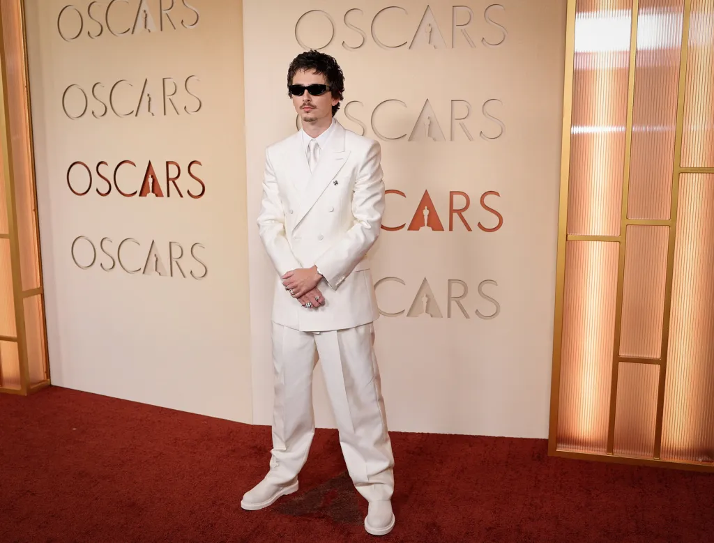 Timothee Chalamet poses on the red carpet at the Oscars.