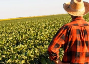 GOP chair laments Trump’s Iran war driving costs so high farmers now ‘losing money’