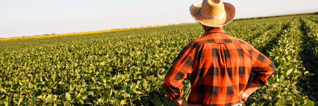 GOP chair laments Trump’s Iran war driving costs so high farmers now ‘losing money’