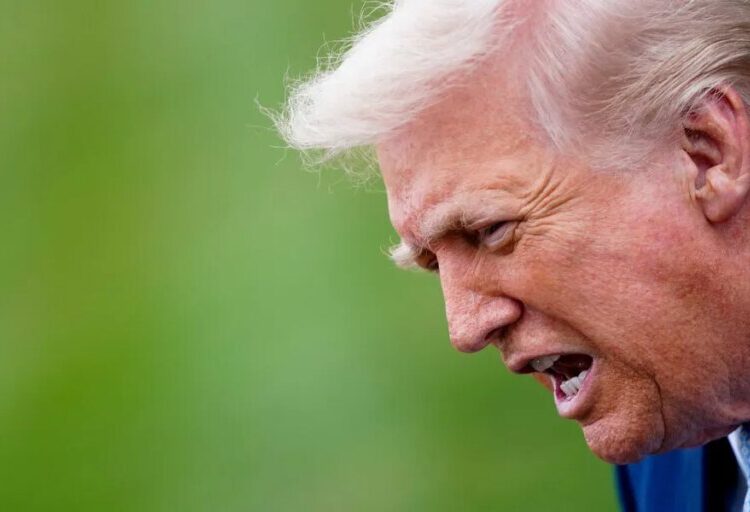 NYT column diagnoses Trump flaw that may bring him down: ‘Cursed with a kind of blindness’