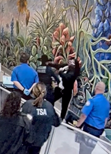 Man in black hoodie attacking TSA officers and a Dallas police officer.