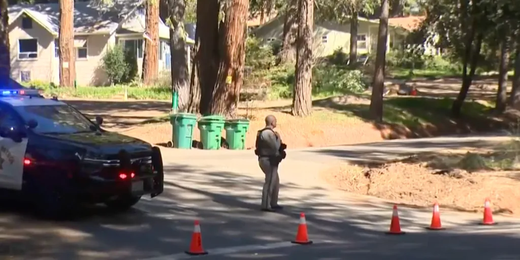 A sheriff's deputy in uniform stands on a road next to a patrol car with flashing lights and orange cones, with houses and trees in the background.