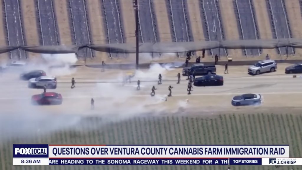 Aerial view of a Ventura County cannabis farm immigration raid, with smoke on the ground.