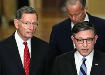 Mike Johnson warns voters would be foolish not to cast ballots for GOP during midterms