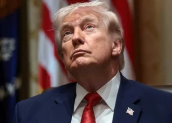 Trump ridiculed as he says he doesn’t want ‘a stupid person being president’: ‘Too late’