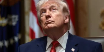 Trump ridiculed as he says he doesn’t want ‘a stupid person being president’: ‘Too late’