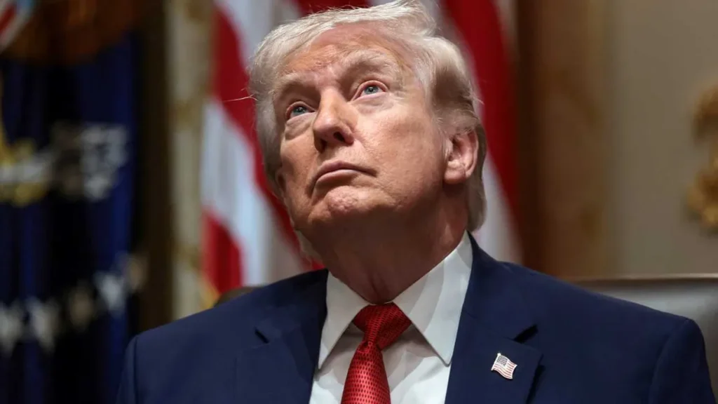 Trump ridiculed as he says he doesn’t want ‘a stupid person being president’: ‘Too late’