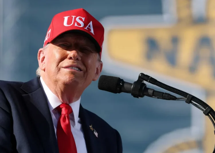 ‘Election war games’ advised to stop Trump from stealing the midterms: lawmaker