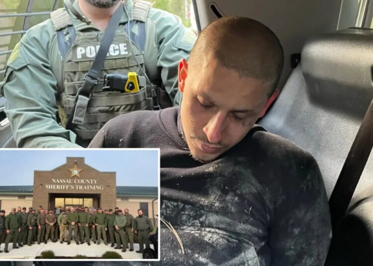 Ex-con accused of killing 2 people outside Players Championship pictured sulking in back of police cruiser after arrest