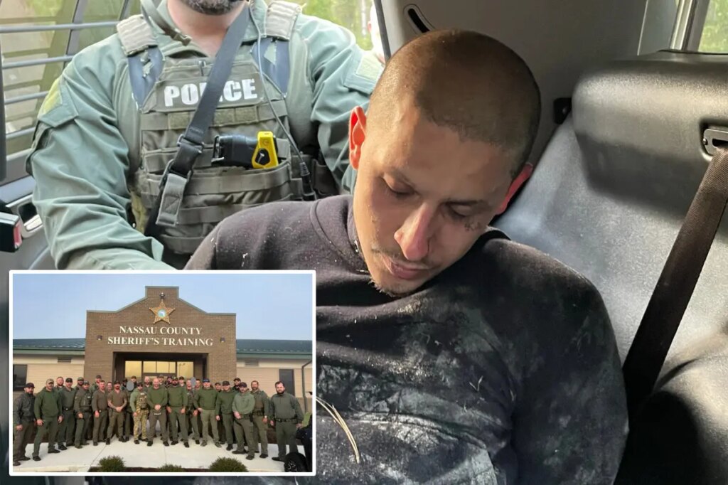 Ex-con accused of killing 2 people outside Players Championship pictured sulking in back of police cruiser after arrest