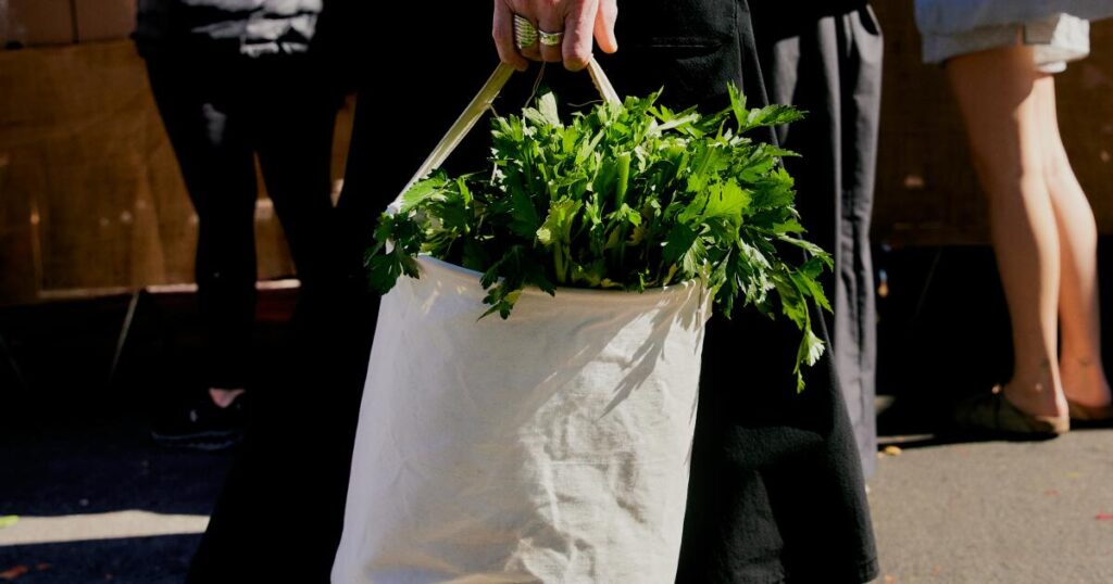 Street style at the Hollywood Farmers Market feels like a magic Saturday evening