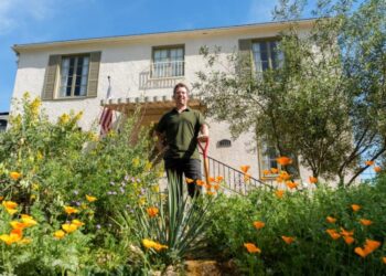 He swapped his lawn for native plants after asking, ‘What was meant to be here?’