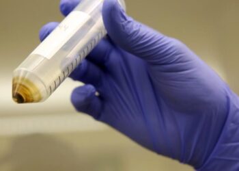 Nearly 40% of California produce contains PFAS pesticides, report finds