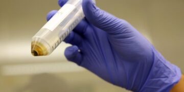 Nearly 40% of California produce contains PFAS pesticides, report finds