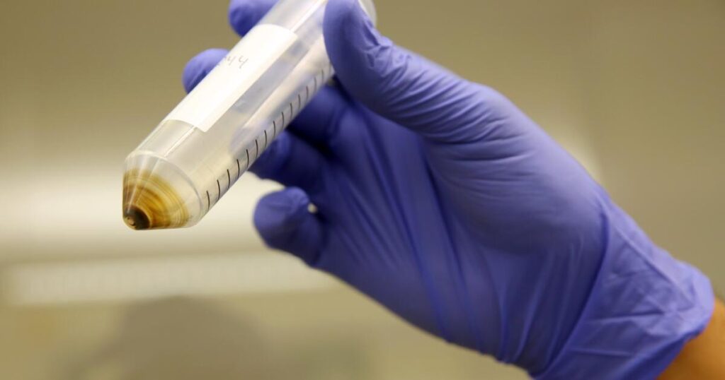 Nearly 40% of California produce contains PFAS pesticides, report finds