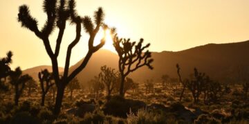 Daylight saving time returns, despite perennial politicking to stop the switch