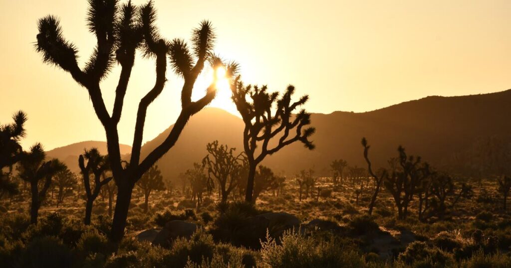 Daylight saving time returns, despite perennial politicking to stop the switch