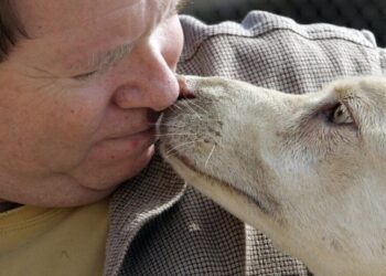 His animal rescue owed millions to a former worker. Rather than pay, feds say he hatched a plan to kidnap her