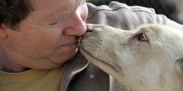 His animal rescue owed millions to a former worker. Rather than pay, feds say he hatched a plan to kidnap her