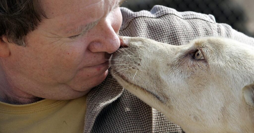 His animal rescue owed millions to a former worker. Rather than pay, feds say he hatched a plan to kidnap her