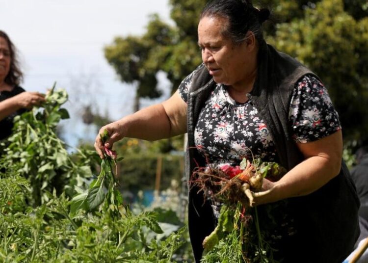 Civil rights leader Ignacio Lopez advocated for Latinos. In Pomona, Lopez Urban Farm continues his legacy