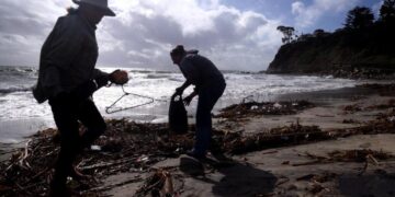 Industrial chemicals have reached the middle of the oceans, new study shows